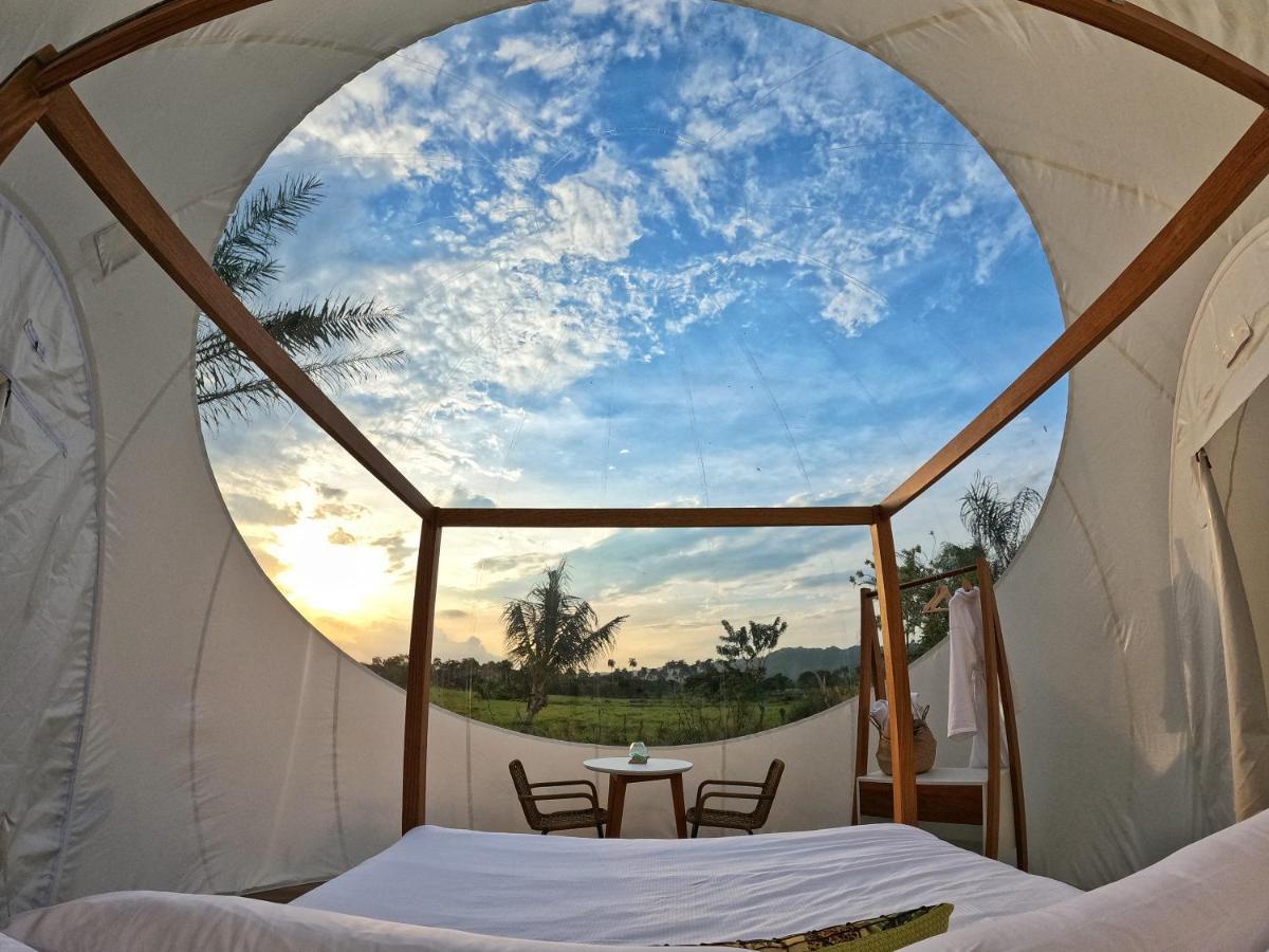 Green Land Bubble Glamping By Mint Cabarete Exteriör bild