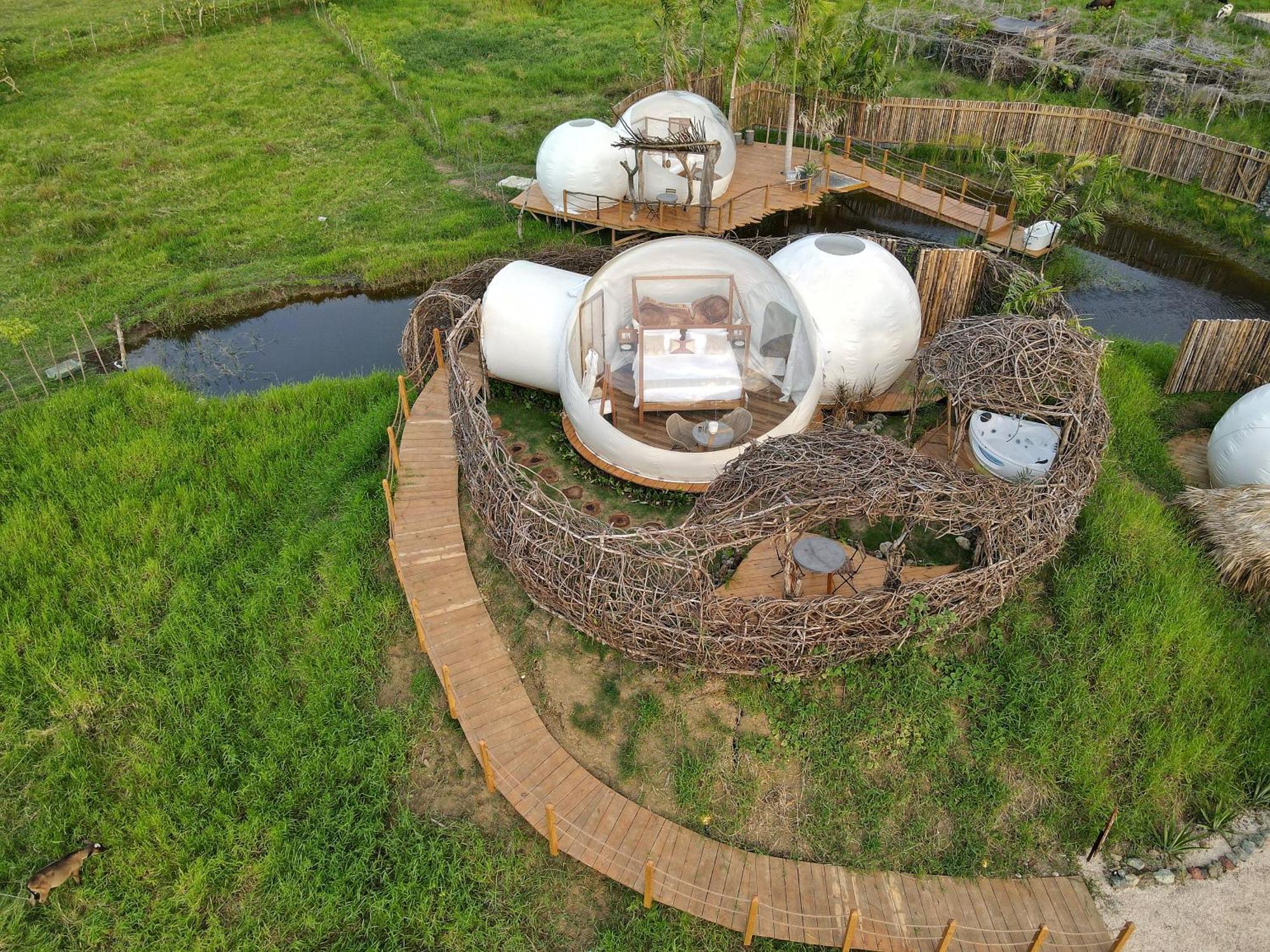Green Land Bubble Glamping By Mint Cabarete Rum bild