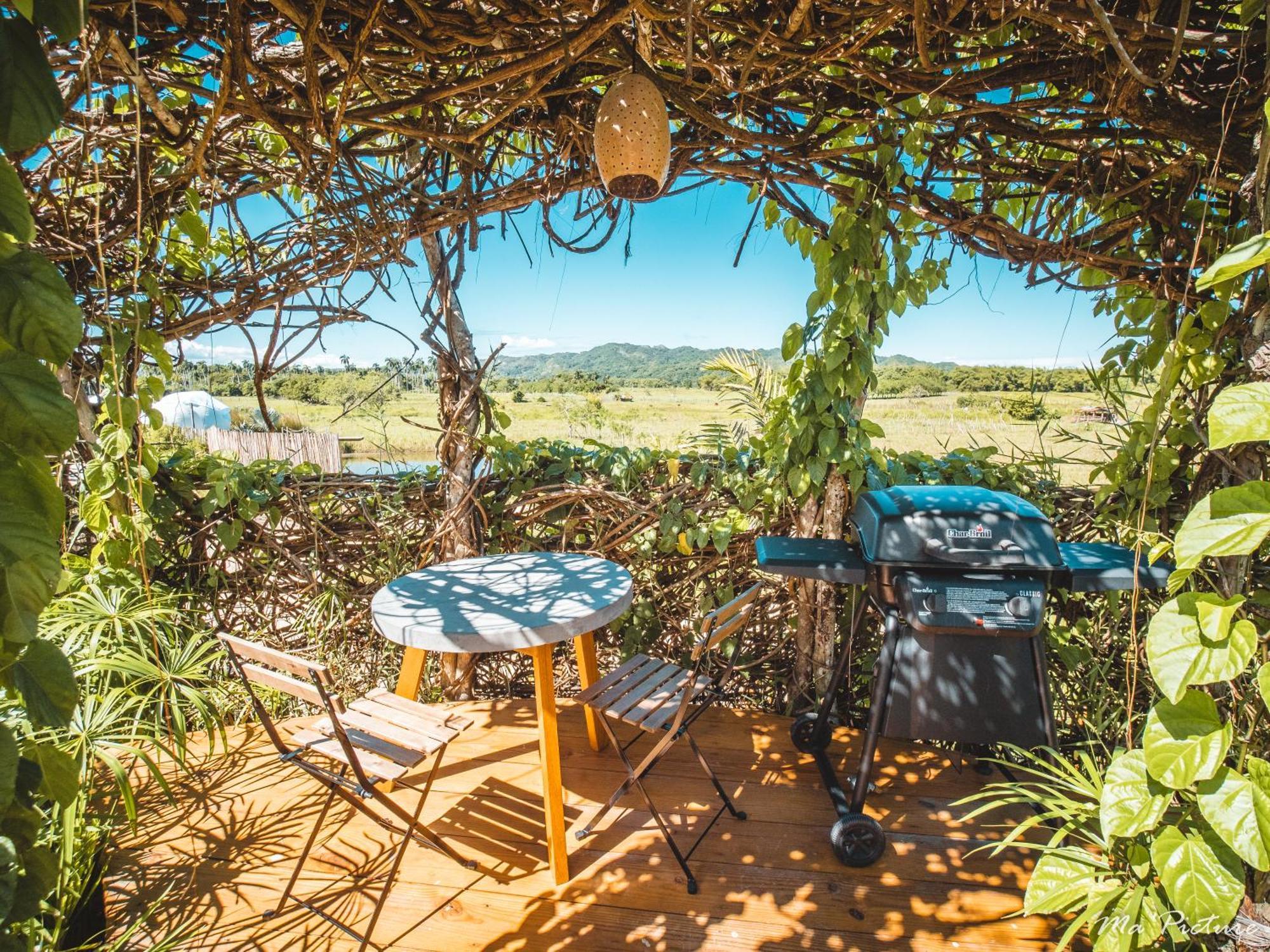 Green Land Bubble Glamping By Mint Cabarete Rum bild