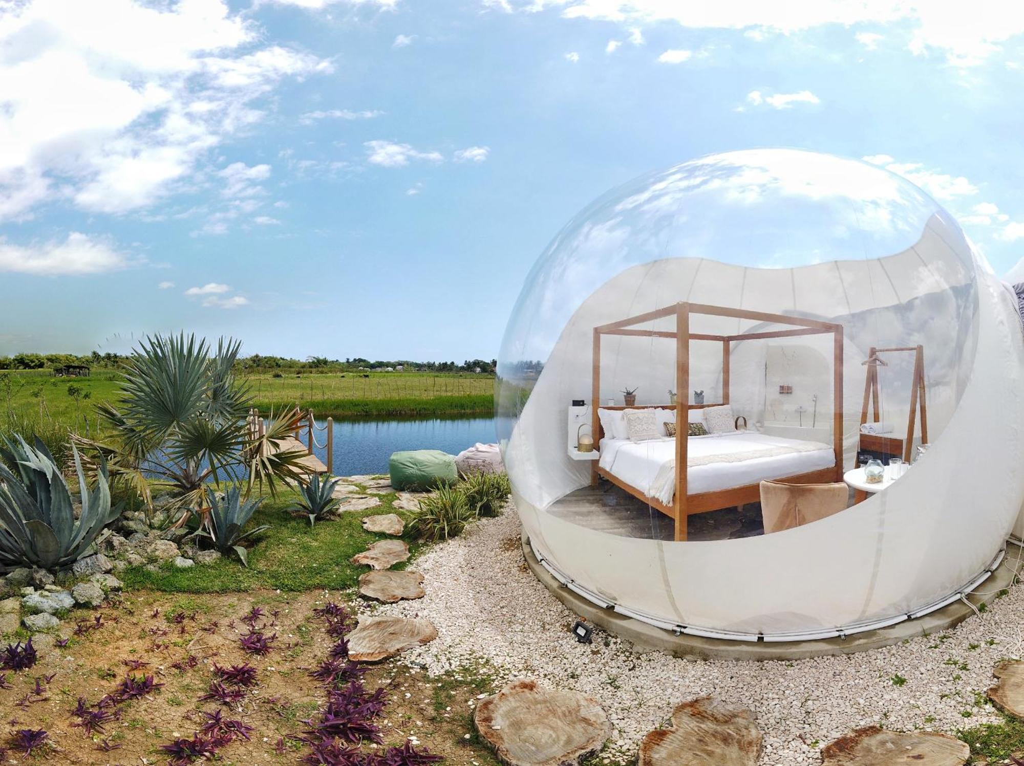 Green Land Bubble Glamping By Mint Cabarete Rum bild