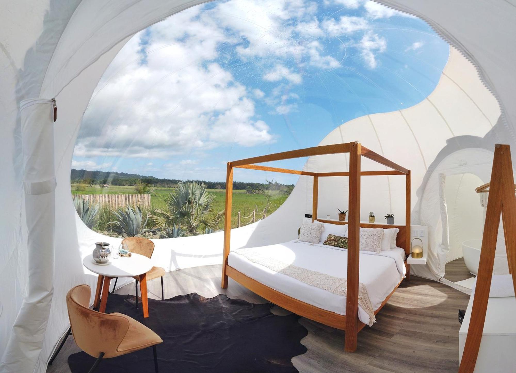 Green Land Bubble Glamping By Mint Cabarete Rum bild