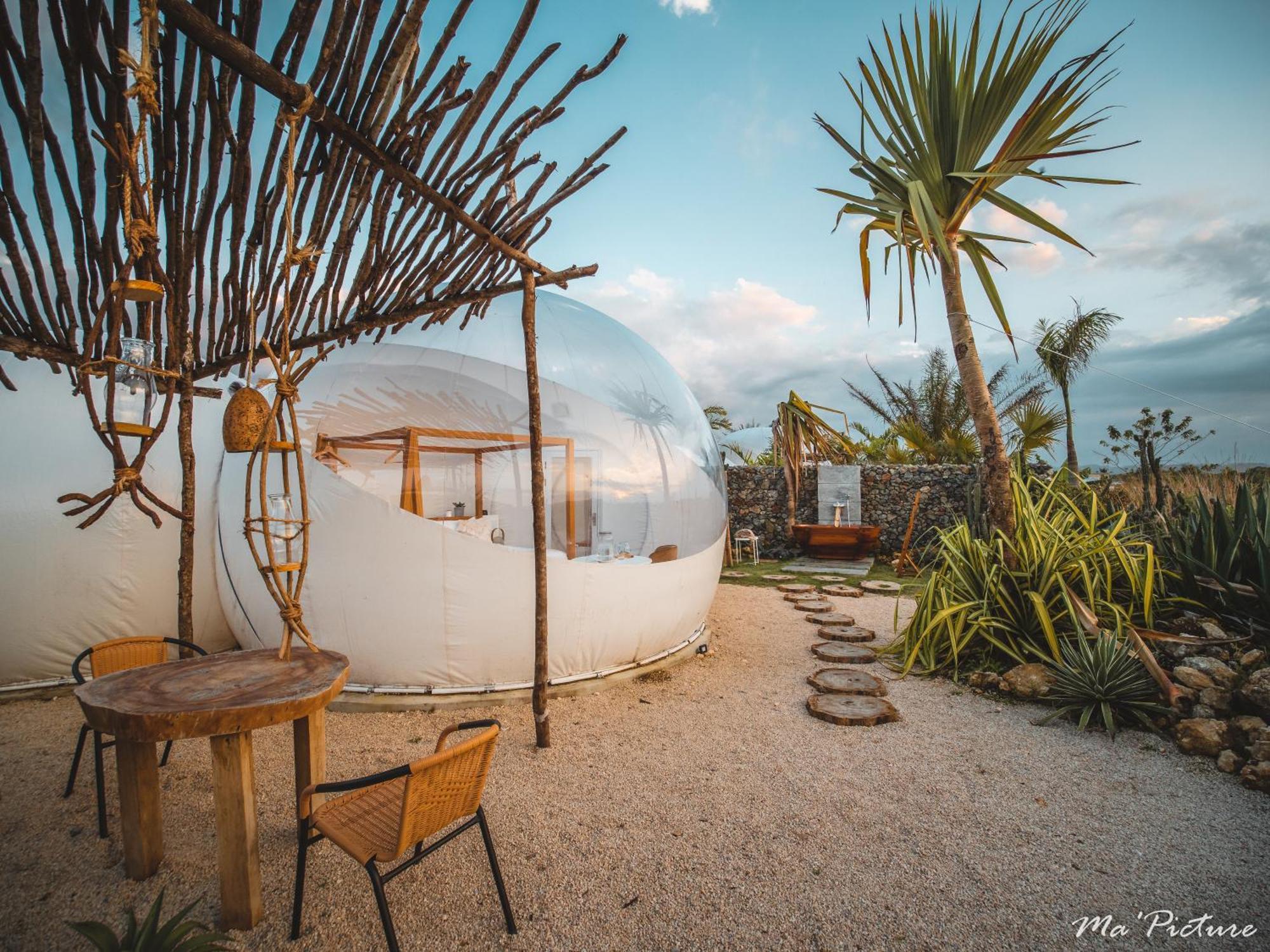 Green Land Bubble Glamping By Mint Cabarete Rum bild