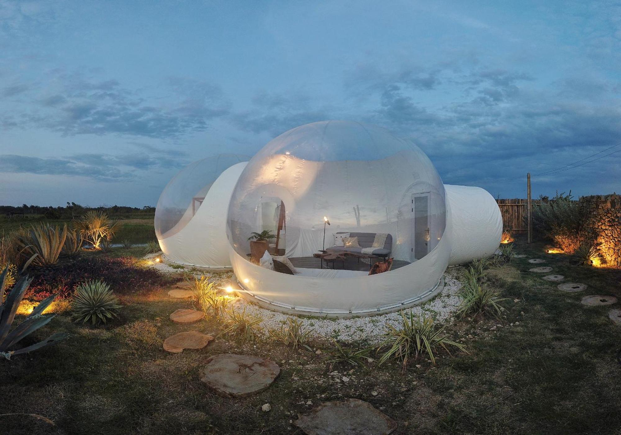 Green Land Bubble Glamping By Mint Cabarete Rum bild