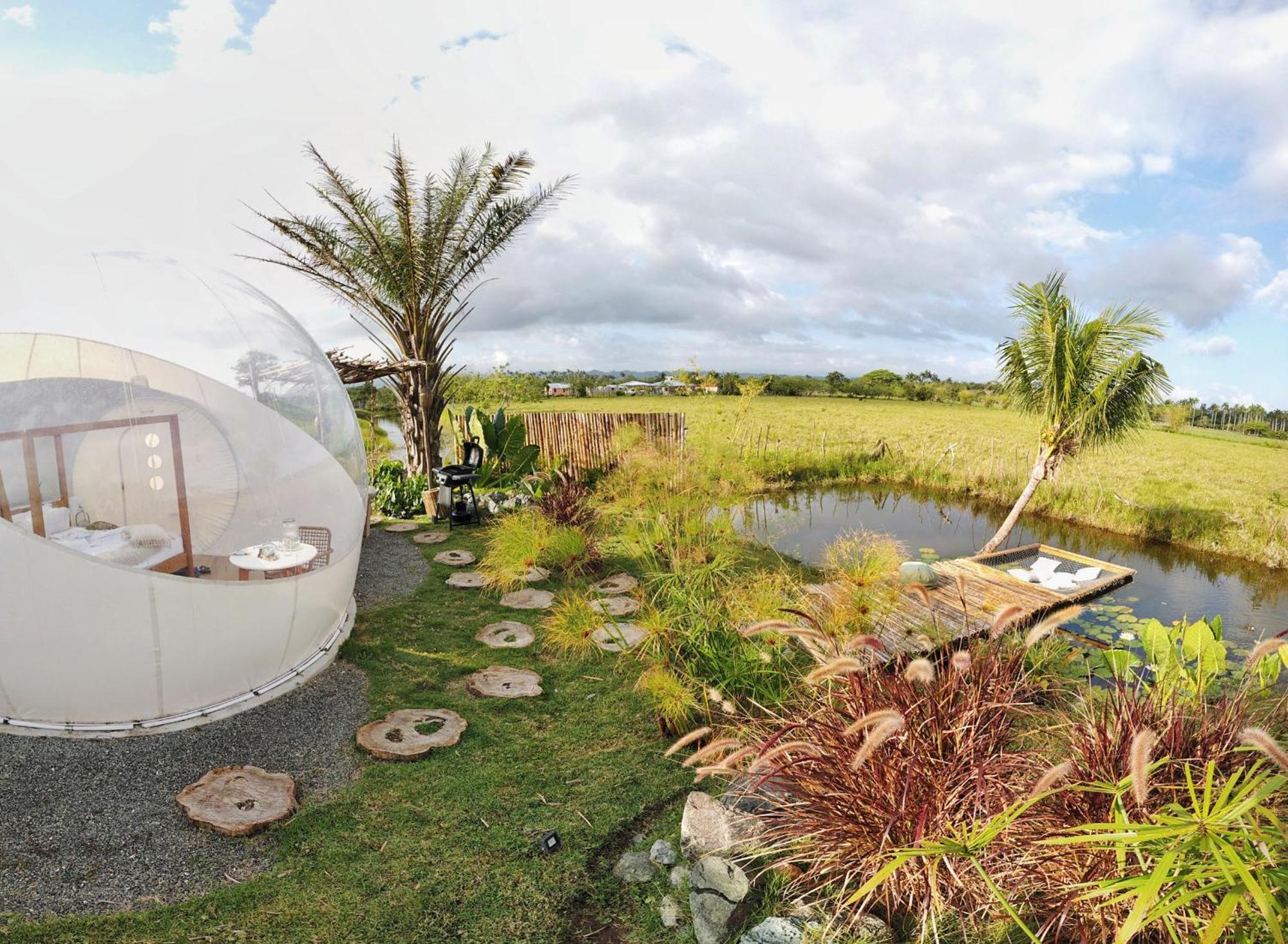 Green Land Bubble Glamping By Mint Cabarete Rum bild