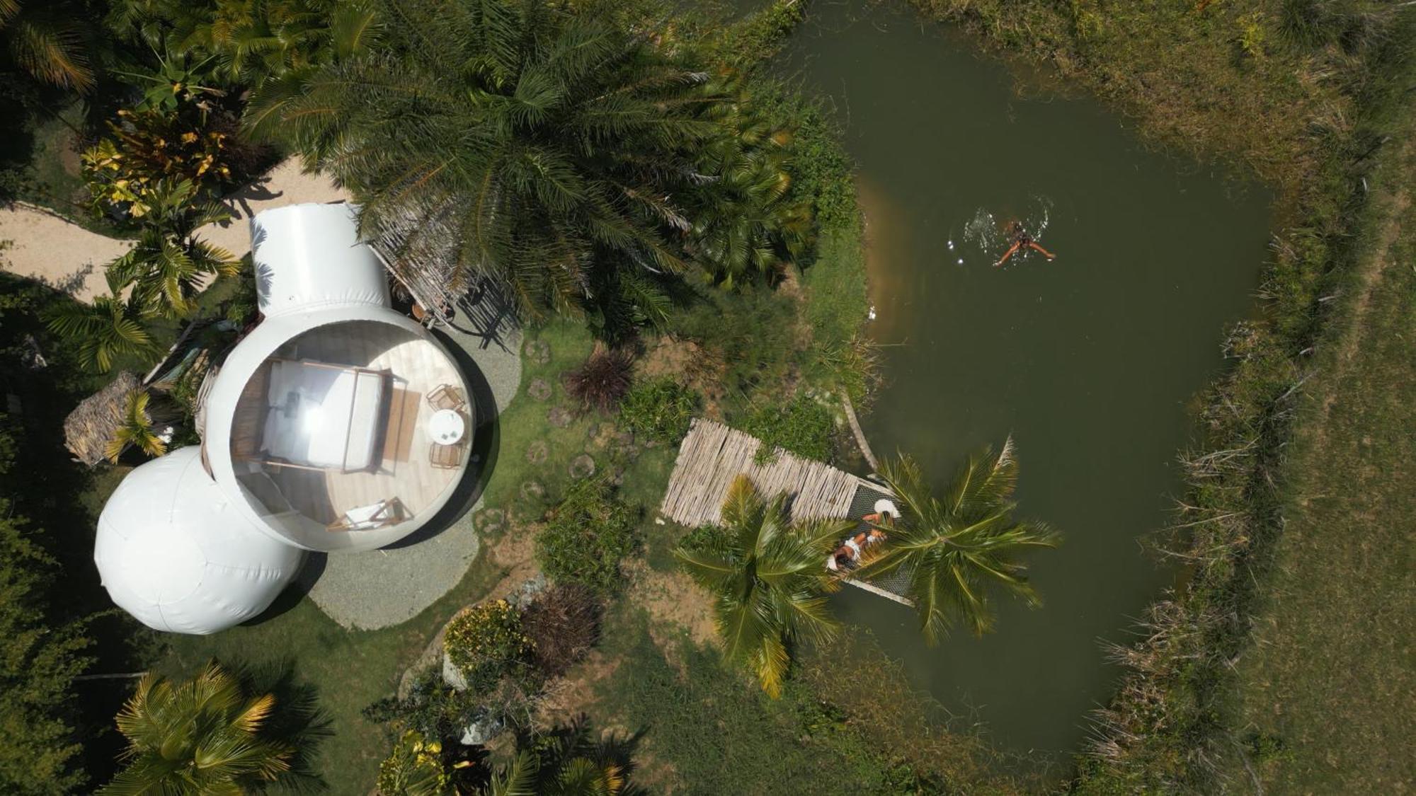 Green Land Bubble Glamping By Mint Cabarete Rum bild