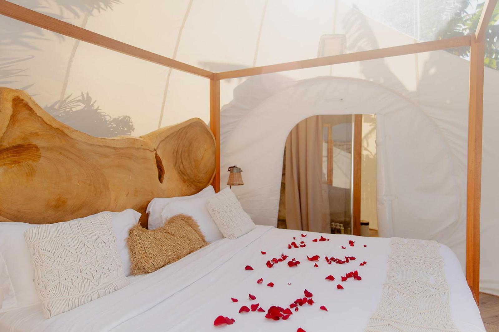 Green Land Bubble Glamping By Mint Cabarete Exteriör bild