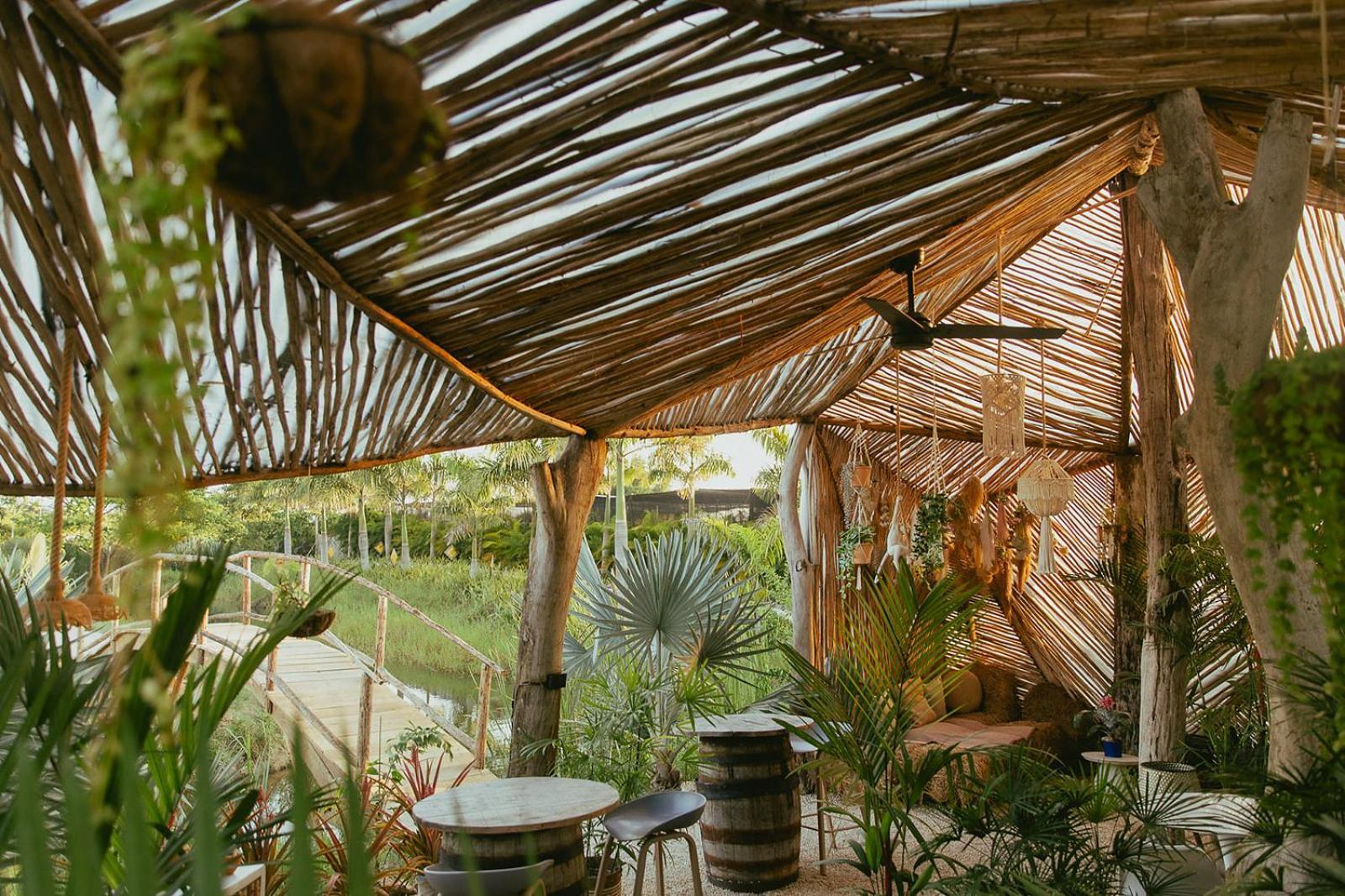 Green Land Bubble Glamping By Mint Cabarete Exteriör bild