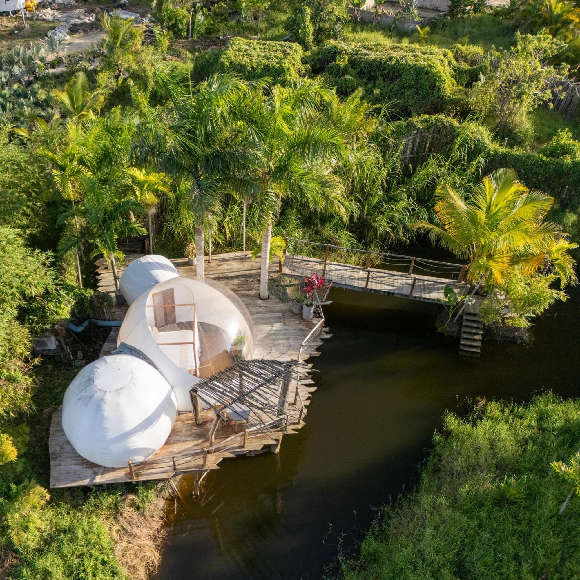 Green Land Bubble Glamping By Mint Cabarete Exteriör bild